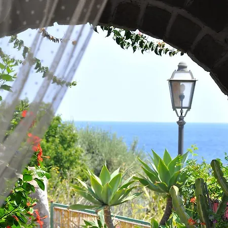 Sea Rose Apartment