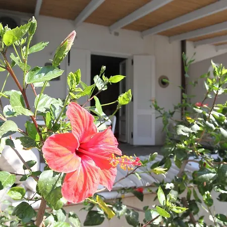 Sea Rose Apartment *