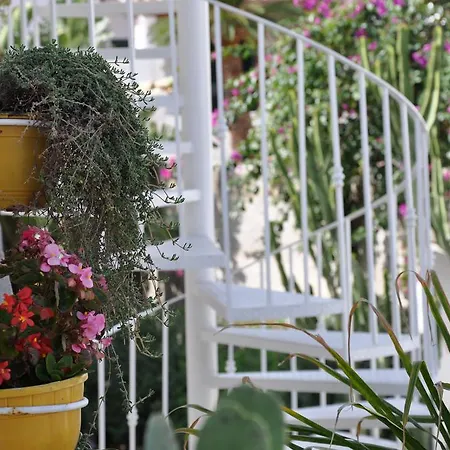Sea Rose Apartment