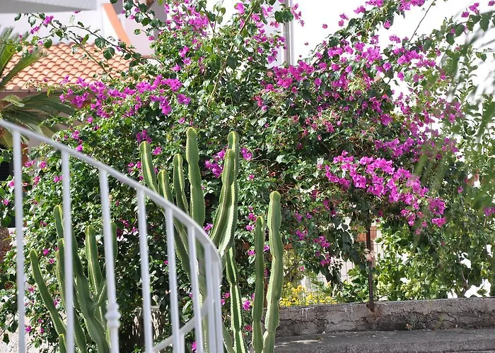 Sea Rose * Lipari (Isola Lipari)