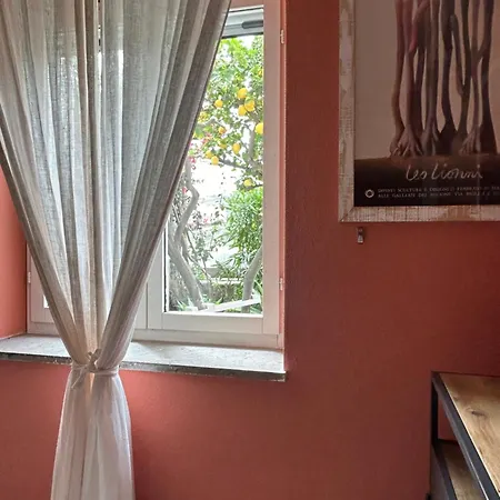 Sea Rose Appartement *