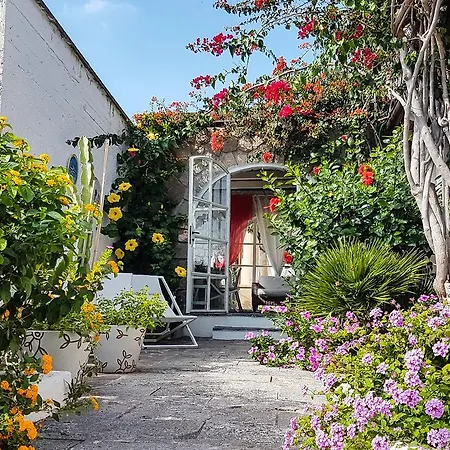 Sea Rose Lipari (Isola Lipari)