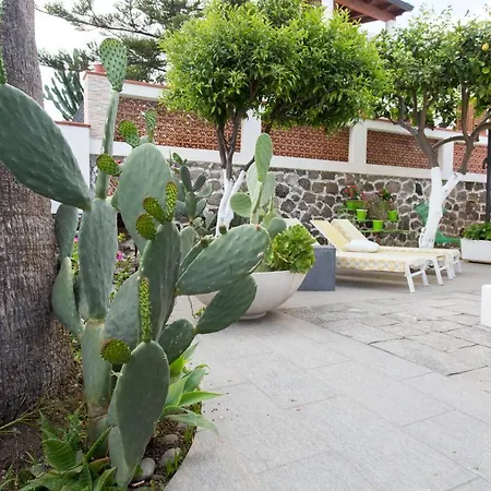 Sea Rose Lipari (Isola Lipari)