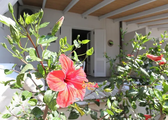 Sea Rose Apartamento *