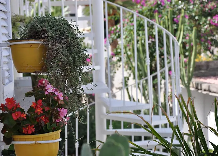 Sea Rose Apartamento