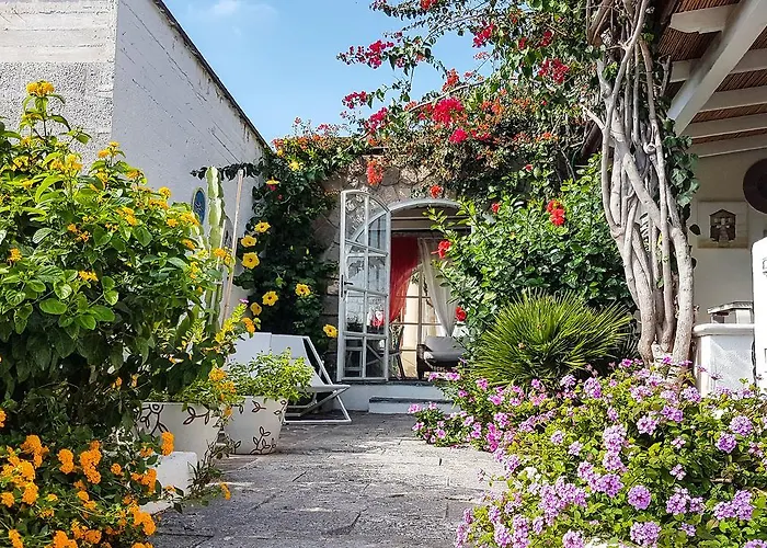 Sea Rose Lipari (Isola Lipari)